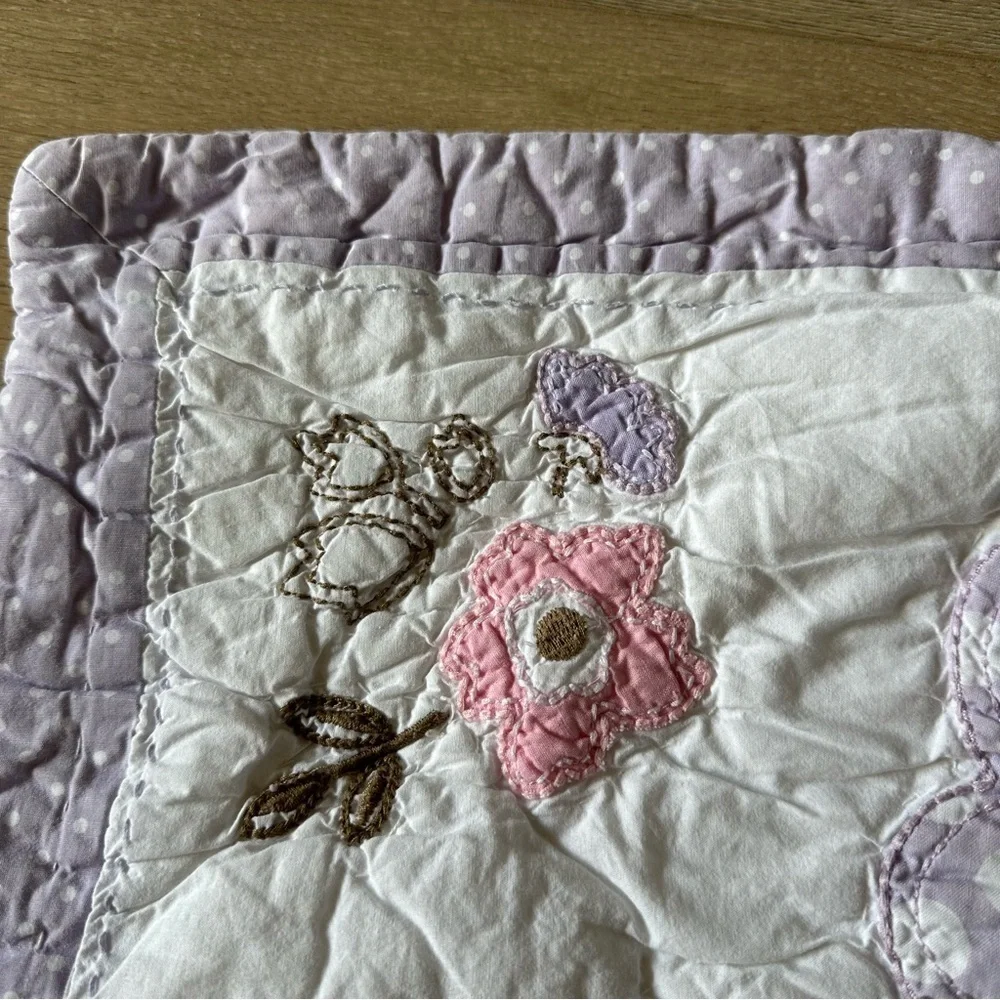 Pottery Barn Kids Quilted Shams Covers Pillow Covers Butterfly Floral